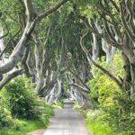 Giants Causeway Tour Cruise Ship Excursion - Why This Tour Stands Out