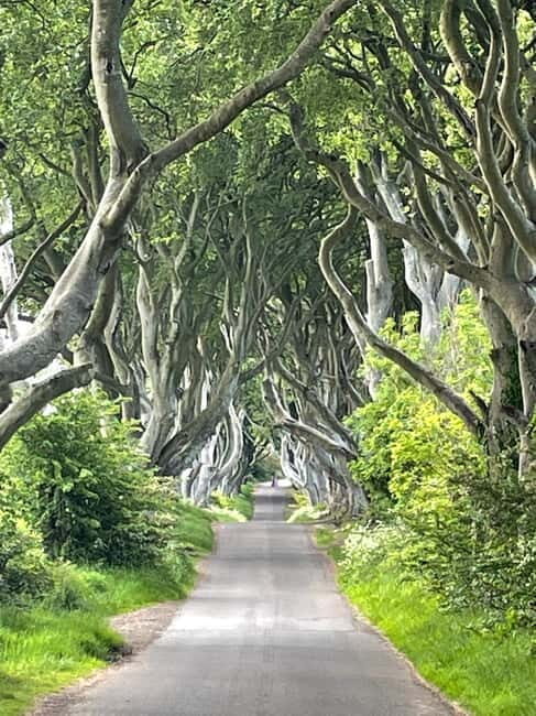 Giants Causeway Tour Cruise Ship Excursion - Why This Tour Stands Out