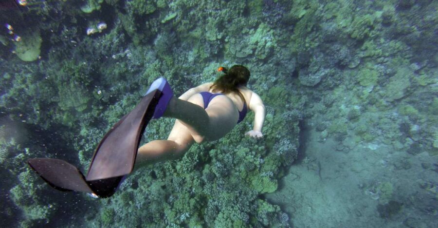 Giardini Naxos: Isola Bella Marine Park Snorkeling Cruise - What You Can Expect Underwater