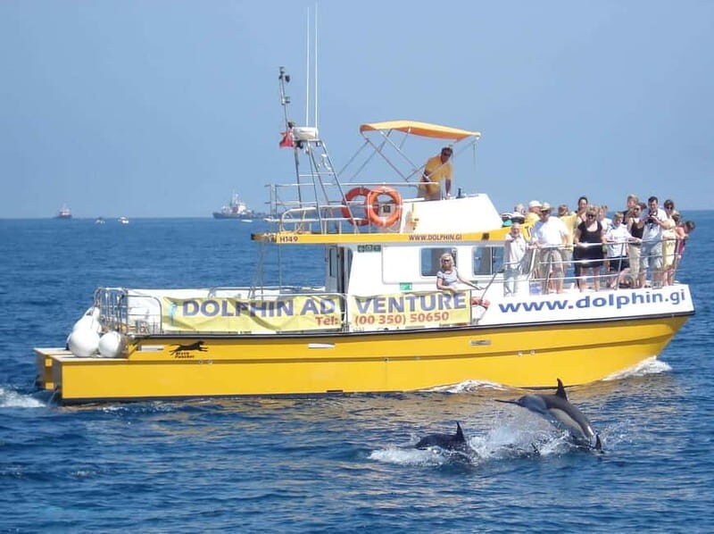 Gibraltar: Dolphin Watching Tour - Who Will Love This Tour?