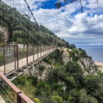Gibraltar: Official City Pass w/ Rock Tour Cable Car & More - Who Will Love This Tour?