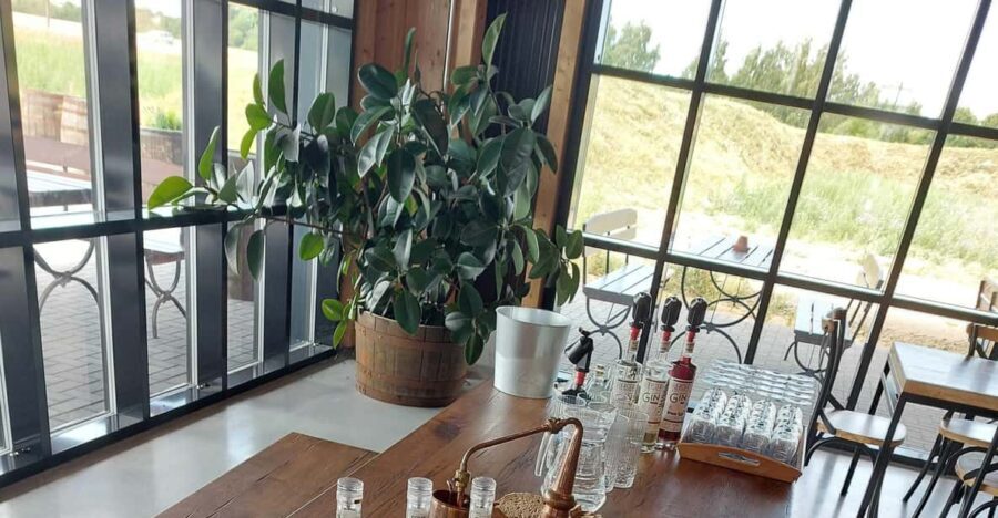 Gin experience course - What Makes This Experience Stand Out