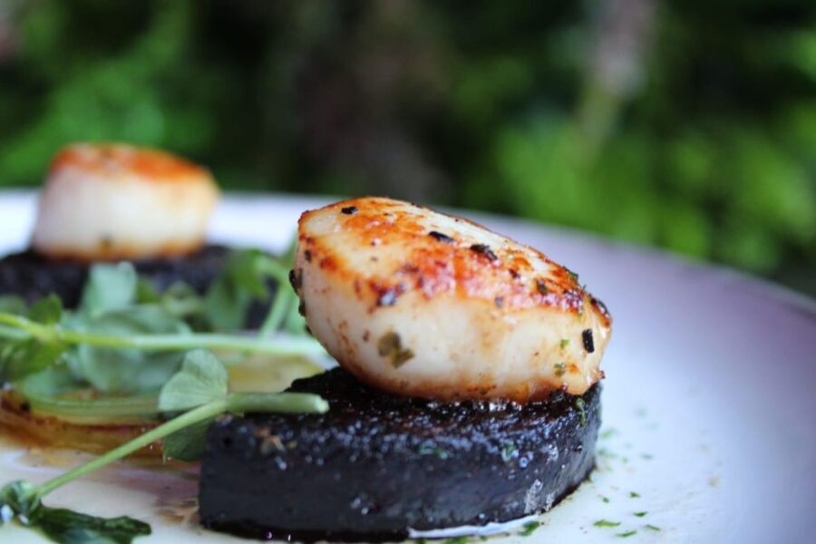 Glasgow: Haggis Tasting with a Dram of Scottish Whisky - Who is This Tour Best For?