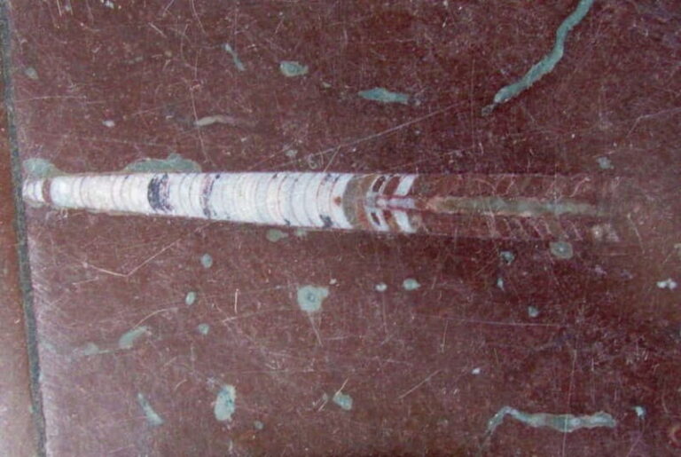 Gniezno Tour and Polish Food Experience - The Experience: What to Expect and Practical Tips