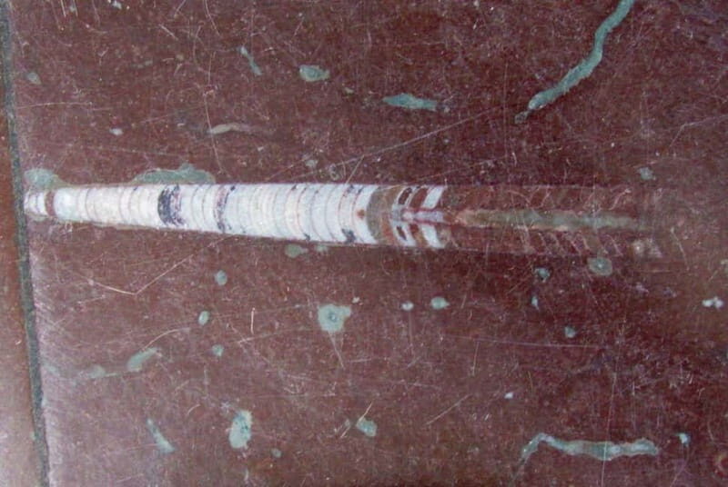 Gniezno Tour and Polish Food Experience - The Experience: What to Expect and Practical Tips