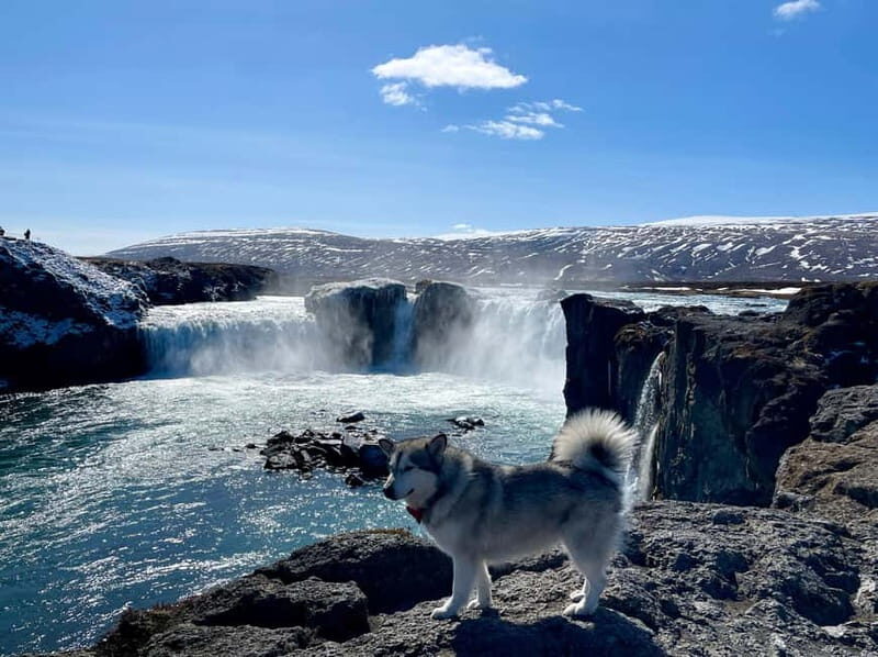 Godafoss, Laufás Museum & Akureyri Highlights Tour - Who Will Enjoy This Tour?