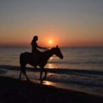 Golden Beach Sunrise: Horse Riding - Detailed Review of the Experience