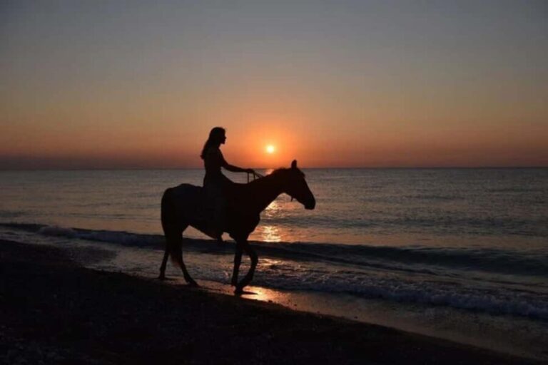 Golden Beach Sunrise: Horse Riding - Detailed Review of the Experience