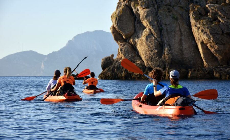 Golfo Aranci: Kayak Tour with Dolphins and Aperitif - Practical Tips and What to Bring
