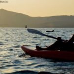 Golfo Aranci: Sunset Dolphin Kayak Tour with Aperitif - Final Thoughts