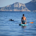 Golfo Aranci: Sup with dolphins, aperitif & photo shoot - What Sets This Tour Apart