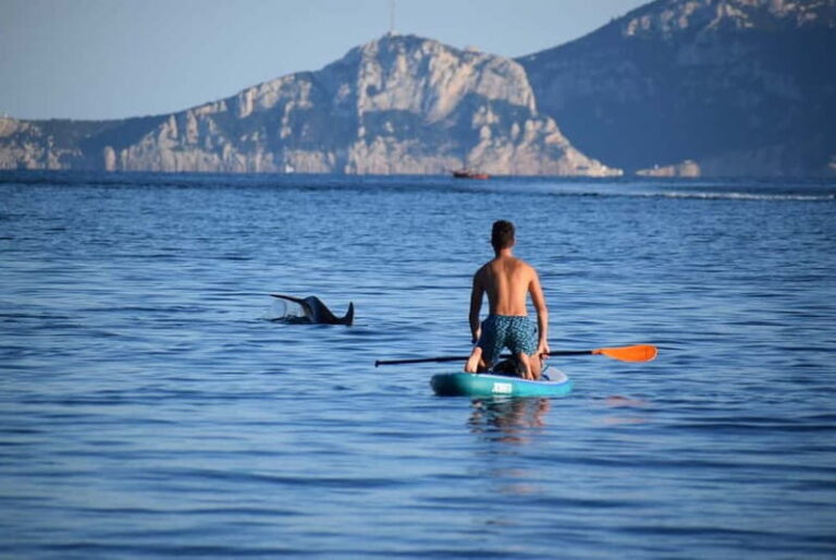 Golfo Aranci: Sup with dolphins, aperitif & photo shoot - What Sets This Tour Apart