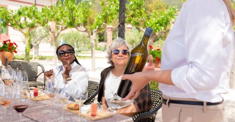 Gourmet Winery Tour: Wine Tasting and 8-Course Gourmet Menu - Why This Tour Works Well