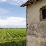 Grado: Journey into Ceramics with Tour & Wine Tasting - The Wine Tasting in the Garden