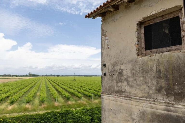 Grado: Journey into Ceramics with Tour & Wine Tasting - The Wine Tasting in the Garden