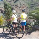 Gran Canaria: 1-7 Day E-Bike Rental 80 km battery life - The Experience: What To Expect