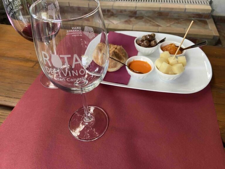 Gran Canaria: Best Wineries and Views Tour - Who Will Love This Tour?