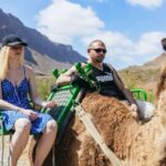 Gran Canaria: Camel Ride Safari w/ Optional Food & Transport - Who Should Consider This Tour?