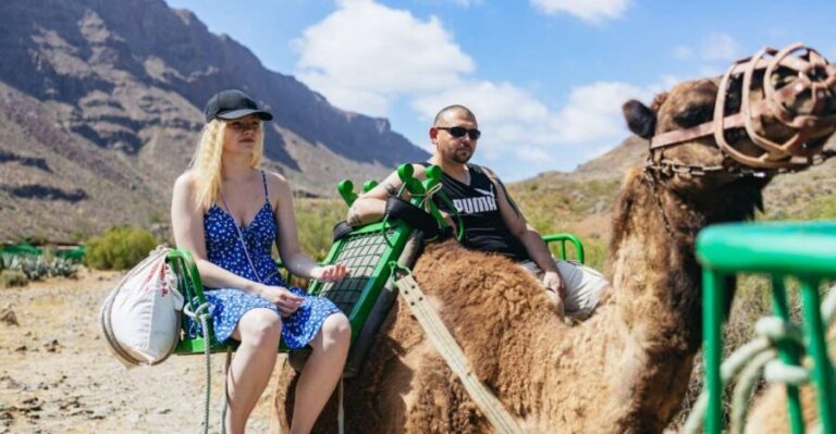 Gran Canaria: Camel Ride Safari w/ Optional Food & Transport - Who Should Consider This Tour?