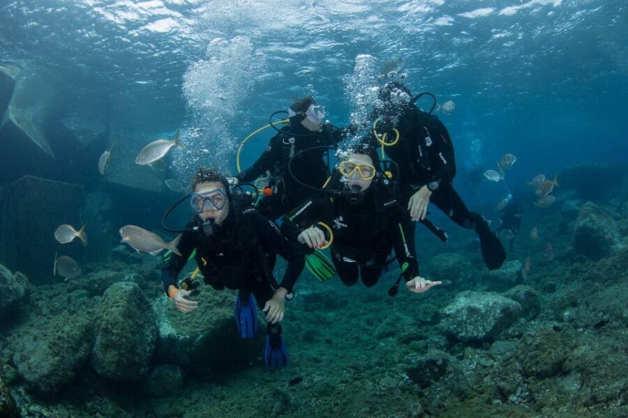 Gran Canaria: Discover Scuba Diving Beginner Program - What to Expect: Step-by-Step Breakdown