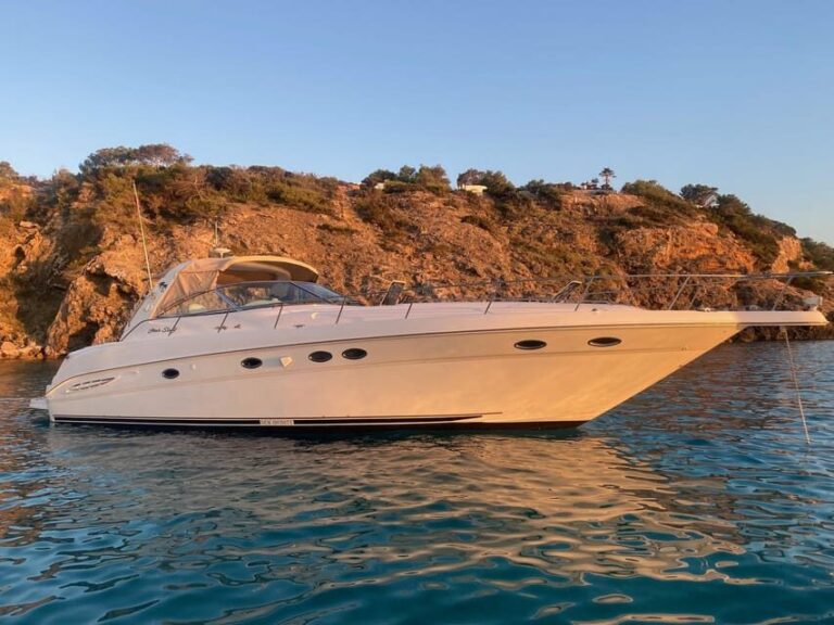 Gran Canaria: Excursion on private yacht with drinks, lunch and snorkeling - What to Expect from Your Yacht Day in Gran Canaria