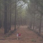 Gran Canaria: Full-Day Customizable Private Photography Tour - An Overview of What You Can Expect