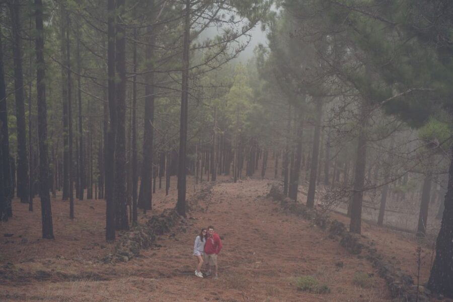 Gran Canaria: Full-Day Customizable Private Photography Tour - An Overview of What You Can Expect