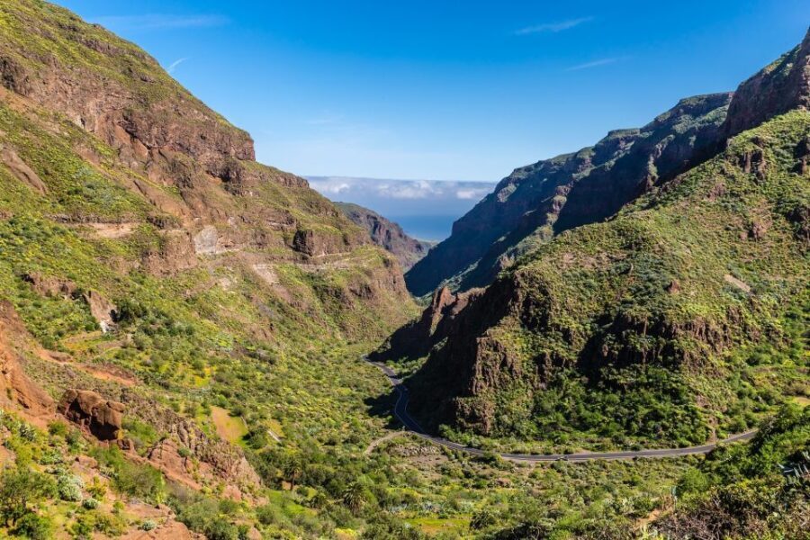 Gran Canaria: Full-Day VIP Tour by Bus - Who Would Love This Tour?