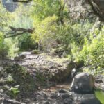 Gran Canaria: "Magic Waterfalls" Hiking Tour - Why This Tour Offers Great Value