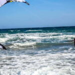 Gran Canaria: Private Kitesurfing Lesson - Detailed Review of the Kitesurfing Private Lesson Experience