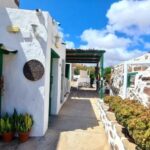 Gran Canaria: Tasting wine & local cheese in Mogan - What You Can Expect