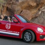 Gran Canaria : West coast Cabrio Sunset - What Makes This Tour Stand Out?