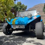 Gran Canary: 70's VW Buggy Tour - Who Is This Tour Best For?