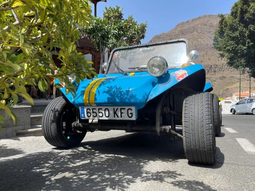 Gran Canary: 70's VW Buggy Tour - Who Is This Tour Best For?