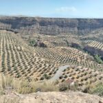 Granada: End of the World Viewpoints 4x4 Tour in the Geopark - The Practicalities: What to Expect and How to Prepare