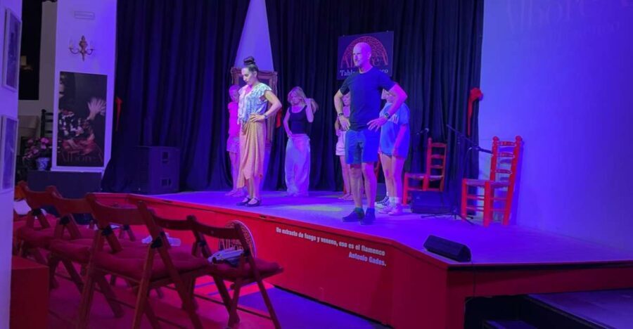 Granada: Flamenco Class with the Cast of Tablao La Alboreá - Who Will Love This Experience?