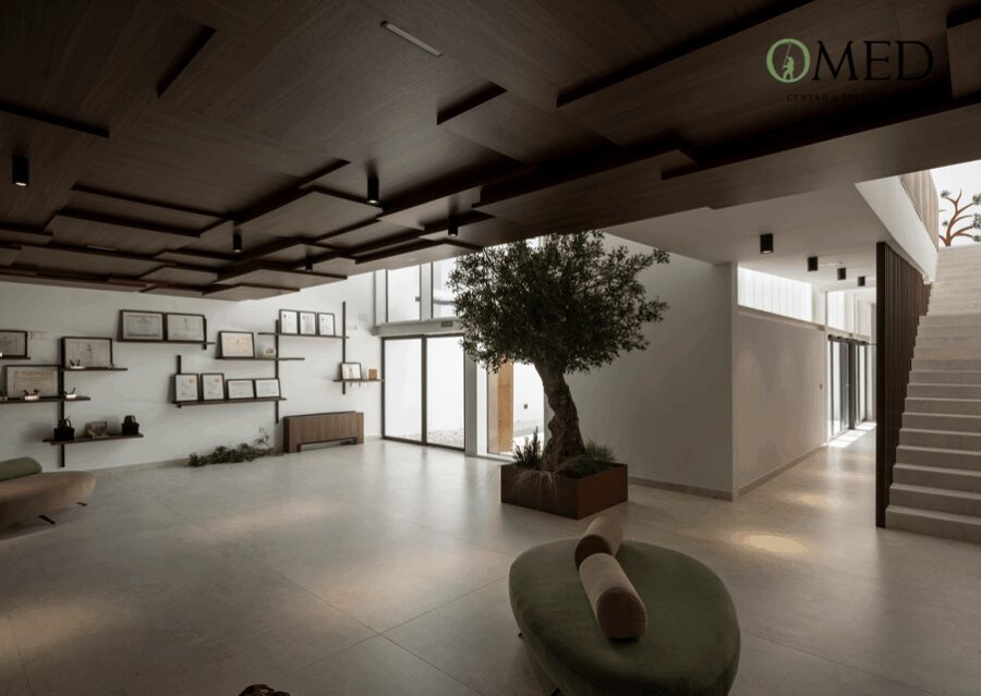 Granada in EVOO: Olive grove guided tour and sensory tasting - The Olive Oil Mill Tour