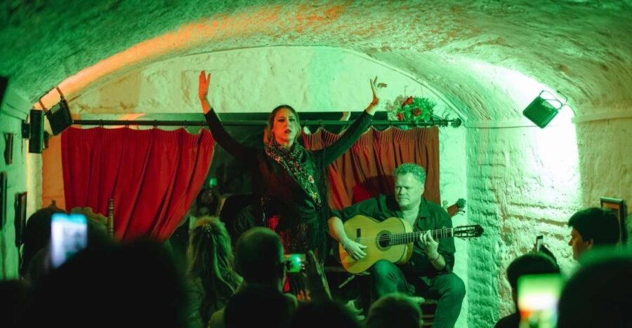 Granada: Traditional Flamenco Show in a Cave Entry Ticket - What to Expect from This Flamenco Show in Granada