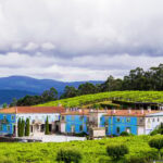 Granbazán Winery: Guided Tour and Wine Tasting - Why This Tour Works Well