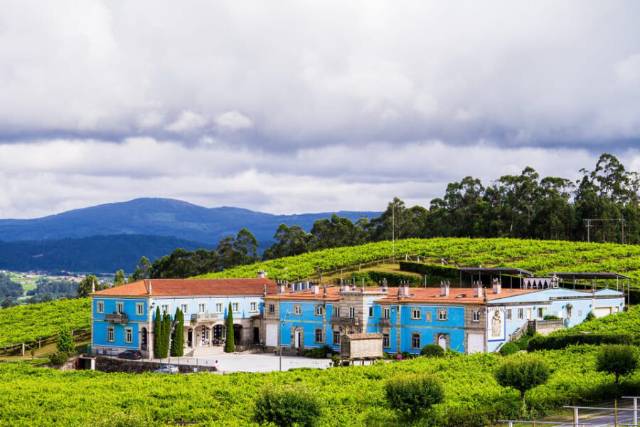 Granbazán Winery: Guided Tour and Wine Tasting - Why This Tour Works Well