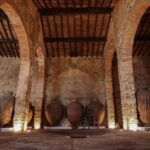Grande Prova Honrado Vineyards - Exploring the Experience in Detail