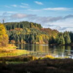 Greenock: Loch Lomond, Trossachs & Stirling Castle Tour - Whats Included and Whats Not