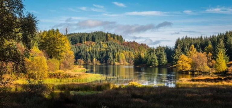 Greenock: Loch Lomond, Trossachs & Stirling Castle Tour - Whats Included and Whats Not