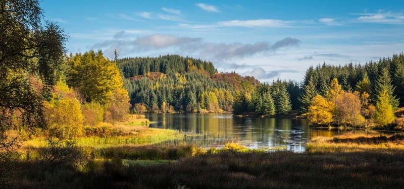 Greenock: Loch Lomond, Trossachs & Stirling Castle Tour - Whats Included and Whats Not