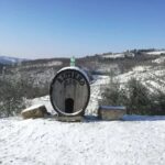 Greve in Chianti: Tour and tasting of organic Chianti Classico and Tuscan snacks - Analyzing the Value: Is It Worth the Price?