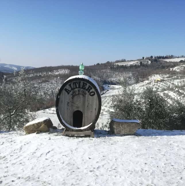 Greve in Chianti: Tour and tasting of organic Chianti Classico and Tuscan snacks - Analyzing the Value: Is It Worth the Price?