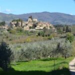 Greve in Chianti: Wine tasting and visit to our small winery - Discovering the Charm of Greve in Chianti and Podere Bucine Winery