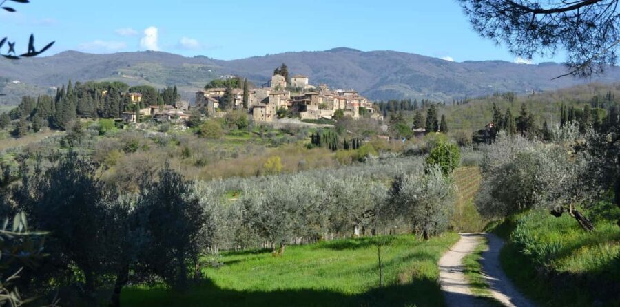 Greve in Chianti: Wine tasting and visit to our small winery - Discovering the Charm of Greve in Chianti and Podere Bucine Winery