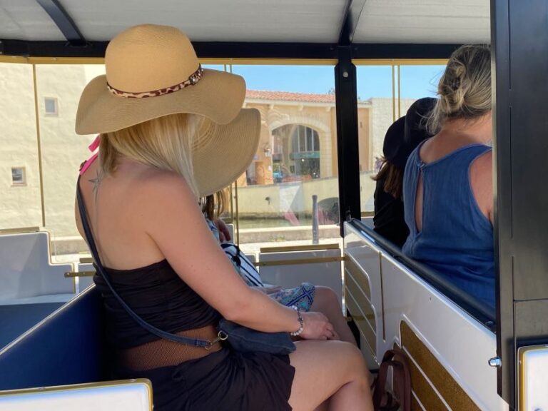 Grimaud: Guided Tour of Port Grimaud & Grimaud by Train - The Journey Begins: Meeting Point & Logistics