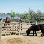 Grosseto: visit the family farm with tasting of local food - Tasting Local Food and Products